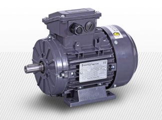 Pätkový trojfázový elektromotor (380V)<br />4 pólový (1440 1/min)<br />ZONE 2