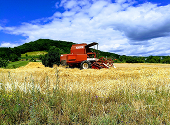 OPTIBELT AGRO POWER a DTE Grass Garden  originálne vysokokvalitné remene!