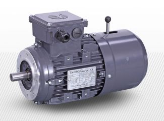 Prírubový trojfázový elektromotor (380V) 6 pólový (850 1/min)