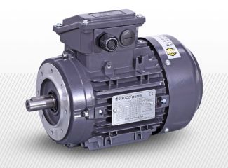 Prírubový trojfázový elektromotor (380V)<br />2 pólový (2800 1/min)<br />ZONE 2