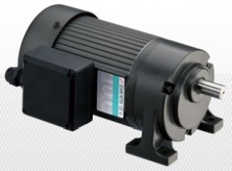 Typ G11H 100-200 W 0,18 - 8,1 Nm