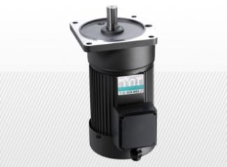 Typ G12V 100-200 W 2,1 - 16,6 Nm