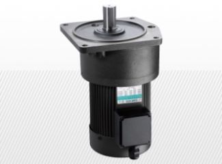 Typ G14V 750 W 12,48 - 63,36 Nm